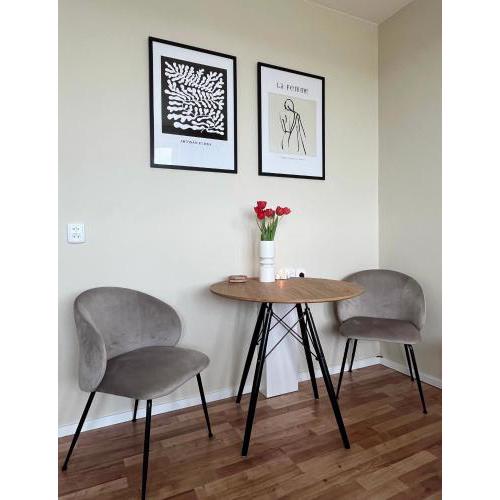 Elegant studio close to the city centre with AC