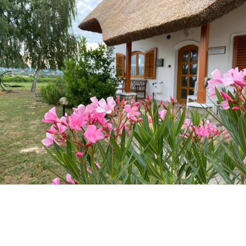 Emese Apartman Cserszegtomaj