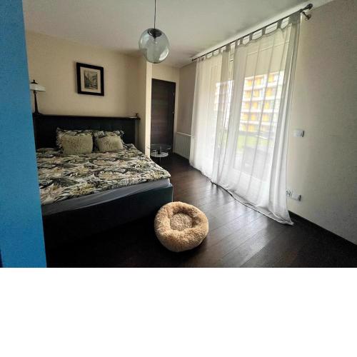 En suite room with a garden