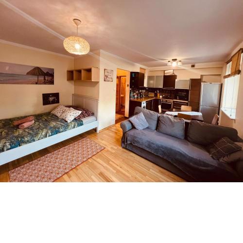 Entire Studio Flat