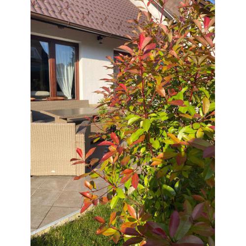 Erelia Cottage