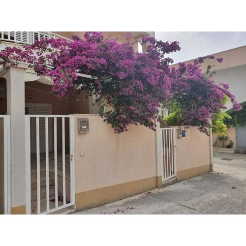 Erika Apartmanok Podgora