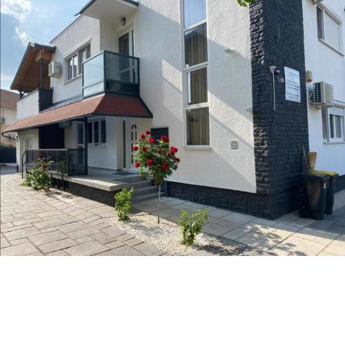 Erős Apartman haz