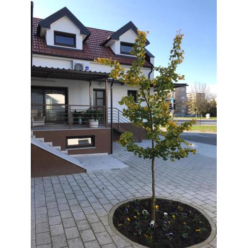 EVA Rooms & Studio Apartment