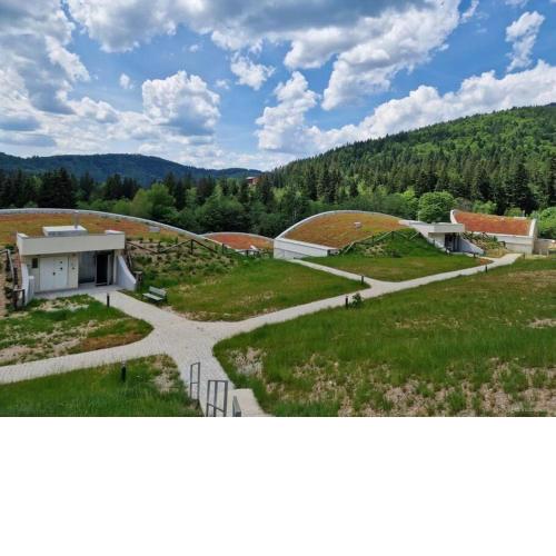 Evergreen Tále Apartments