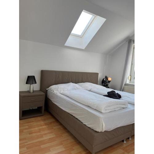 Exquisite Home w/ Free Parking - suitable for 16p+