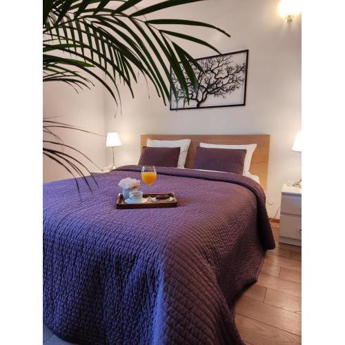 F-3 Kraków Rynek-Wawel O&P ApartFamily