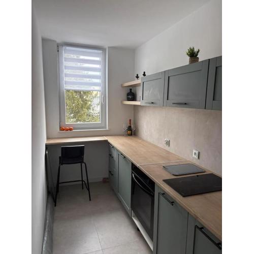 Family Apartment