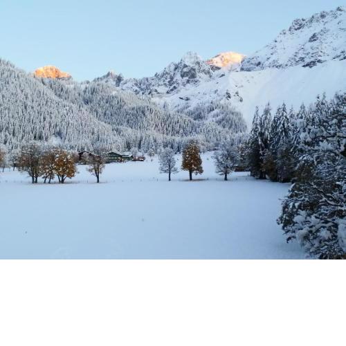 Family Appartment - Dachstein View