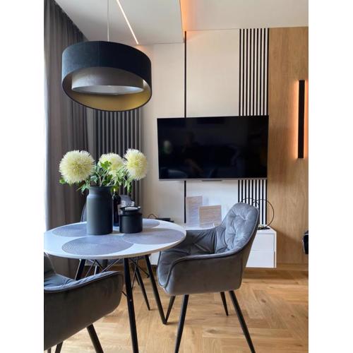 Family & Business Elegant Apartments Ventus IX Wieków- Centrum Downtown NEW!