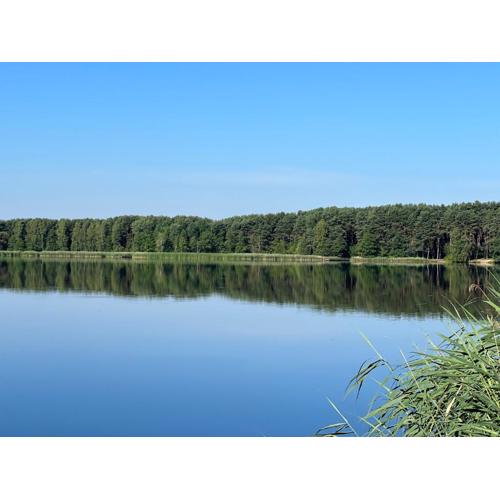 Family & Business Sauna Apartments No15 Leśny nad Zalewem Cedzyna Unikat - 3 Bedroom with Private Sauna, Bath with Hydromassage, Terrace, Garage, Catering Options