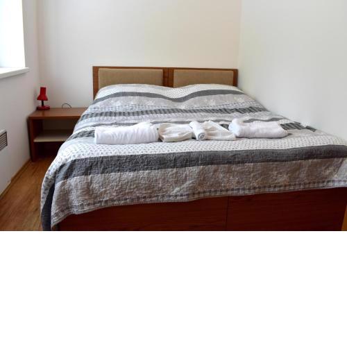 Family home Lipno Lake, Airstay Lipno