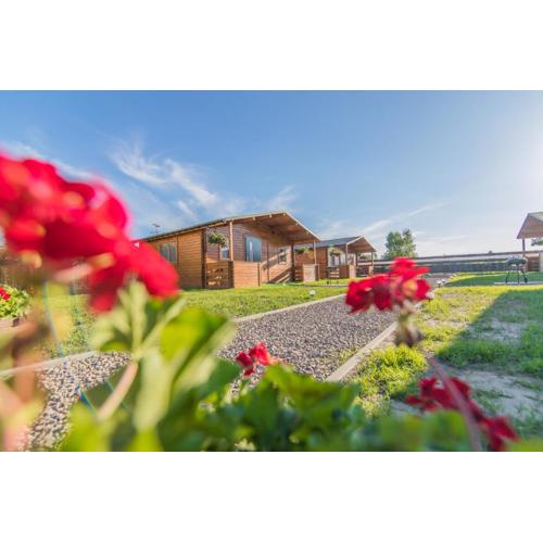 FamilyCamp