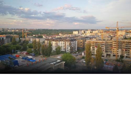 FAMMA w View