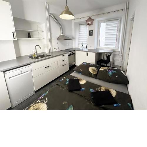 Fantastic Waw - NS54 Room O