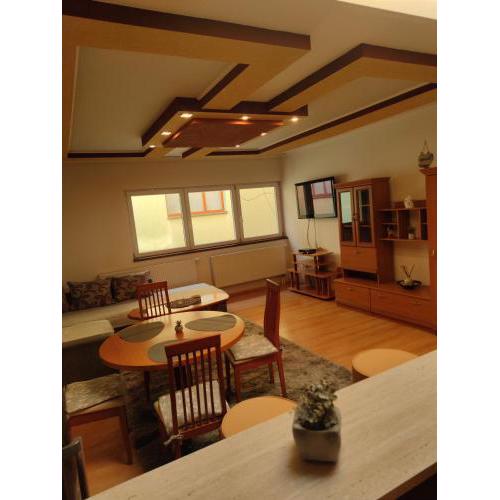 Fast Apartment in the centrum with FREE private parking