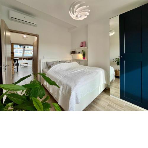 FeelHome Apartment with kitchen