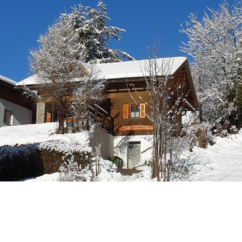 Ferienhaus 146