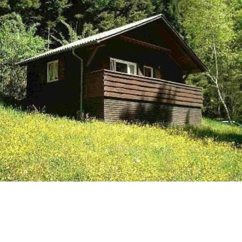 Ferienhaus Arthurhütte in Hohenweiler