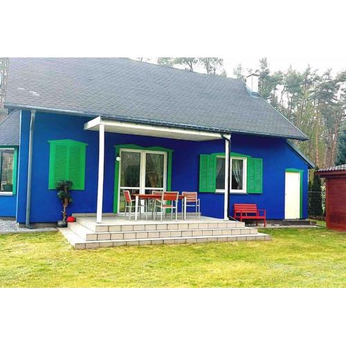 Ferienhaus Blueberry