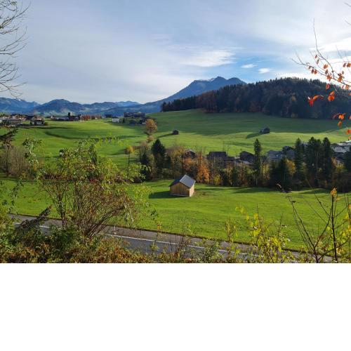 Ferienhaus Buchen
