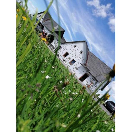 Ferienhaus Goanbau Schöneben