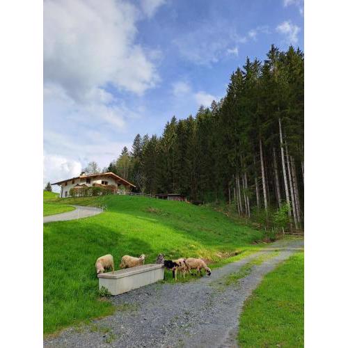 Ferienhaus Hansl