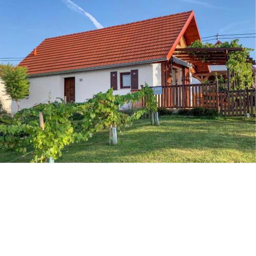 Ferienhaus In Stegersbach