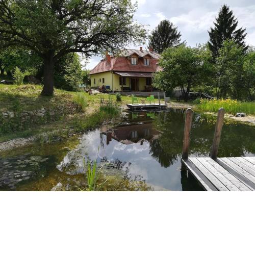 Ferienhaus mit biologischem Schwimmteich