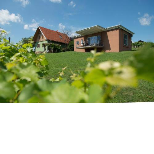 Ferienhäuser im Weingarten