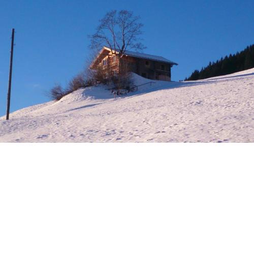 Ferienhütte Georg