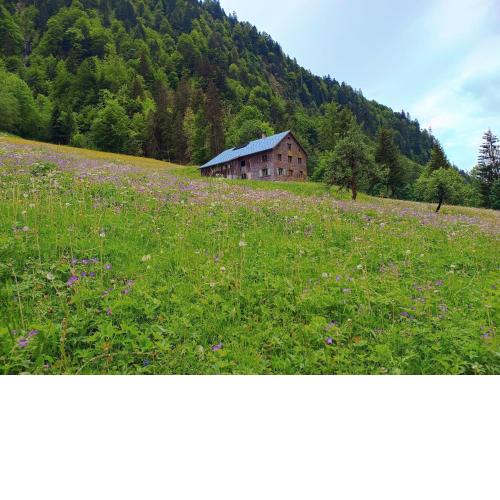 Ferienhütte See 4