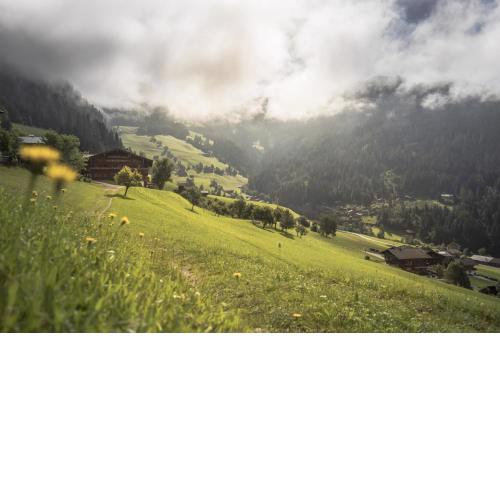 Ferienwohnung Alpbachtal