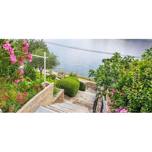 Ferienwohnung direkt an der Adria