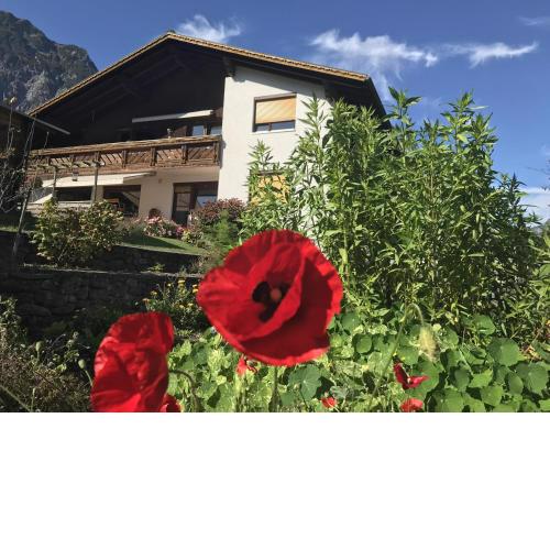 Ferienwohnung Glusavinahüsle