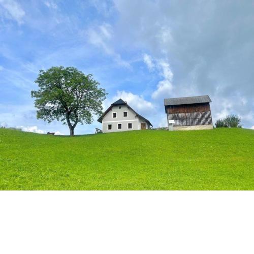 Ferienwohnung Hochtal