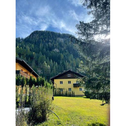 Ferienwohnung Neufundländer