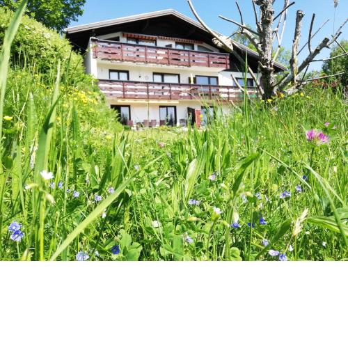 Ferienwohnung Tschengla mit eigener Sonnenterrasse - Wiese - Wlan - Netflix