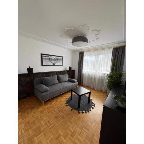 Ferienwohnung über den Dächern von Bregenz