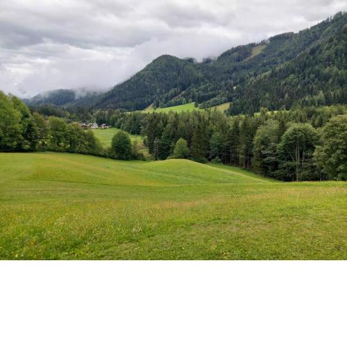 Ferienwohnung Vertatschablick