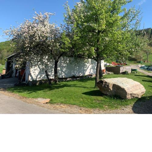 Ferienwohnung Waldköhlerei