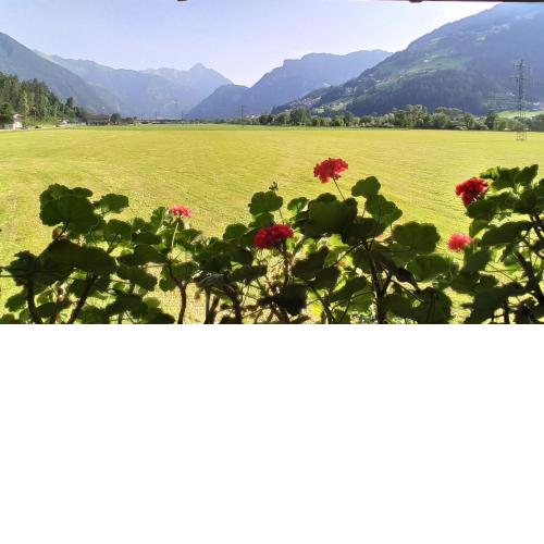 Ferienwohnung Zillertaler Alpenblick