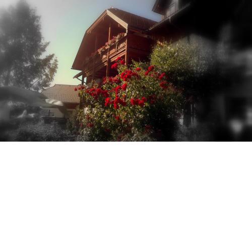 Ferienwohnungen Fischerhaus - direkt am See