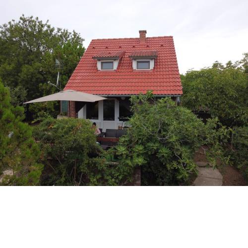 Fig Tree house