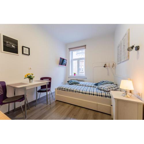 Flex SelfCheckIns 130 - Zagreb - Studio Apartment - Centre
