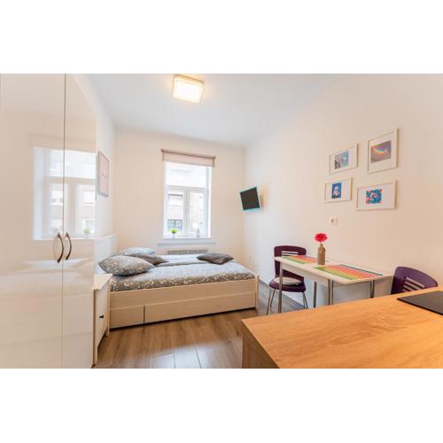 Flex SelfCheckIns 131 - Zagreb - Studio Apartment - Centre