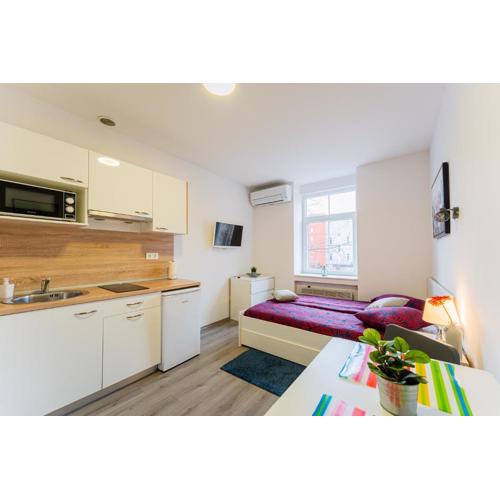 Flex SelfCheckIns 134 - Zagreb - Studio Apartment - Centre