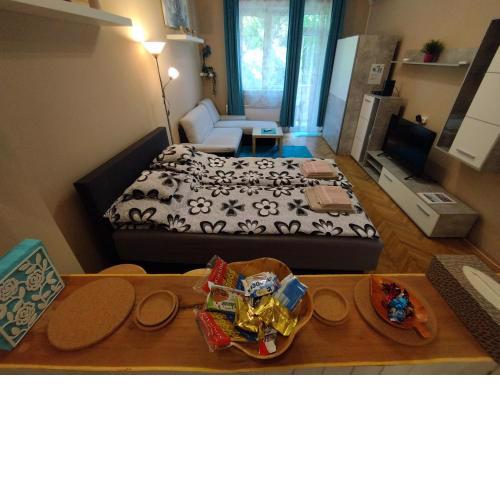 Flower Studio Apartment
