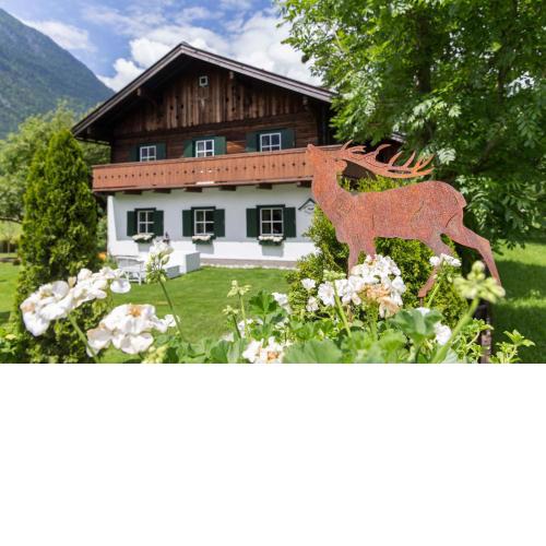 Forest Chalet, secluded location, 1,000 sqm garden, mountainview, panorama sauna, whirlpool, BBQ&bikes&sunbeds for free, up to 10 p