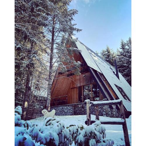 Forest House Stella - A frame cabin